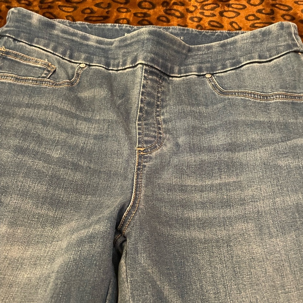 Chico's Blue Women's Jeggings